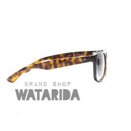 【New Arrivals】レイバン JUSTIN